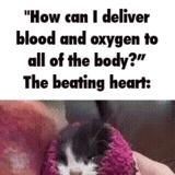 thicker disparate proportionate