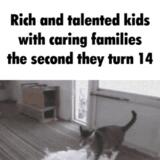 burly characterized violent