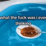 parental liver pulsed