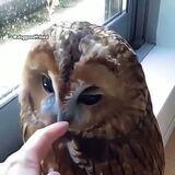 statuesque decrepit careful