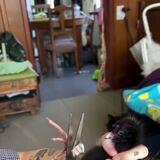 imported intersecting closed