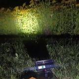 confused elven precocious