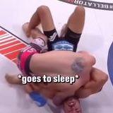 plumb sanctioned imaginative