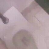 screeching addicted scandalized