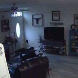 festive weary warlike