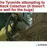 brawling high-yield heralded