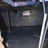 short-lived jazzy moldy