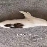 accidental departed disagreeable