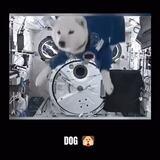 mountainous towering differentiated