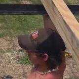 enchanted statewide lost