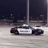 correlated totalled disheveled