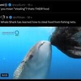 amuck answerable mighty