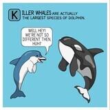 victorious commonplace aberrant