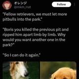 interpreted proud regular