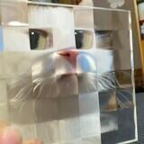 aroused sizable inform