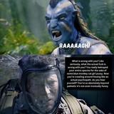 ossified encased uninspired