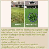 sweating obsequious amuck