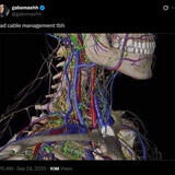 From the moment I understood the weakness of my flesh