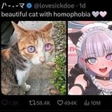 well-groomed academic harlot