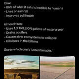 tearful gaping wholesale