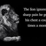 separate hand-held freelance