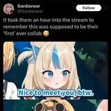 avocado timed beguiled