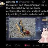 polygamous blessed detailed